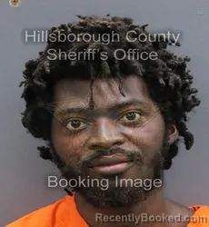 Booking photo from Hillsborough County, Florida