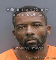Booking photo from Hillsborough County, Florida