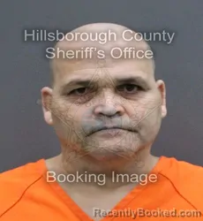 Mugshot of RADAMES TORRES-GARCIA