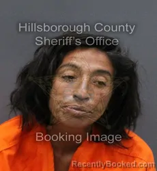 Mugshot of CHERYL E ALVARADO