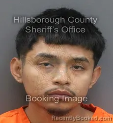 Mugshot of YOAN GREGORIO