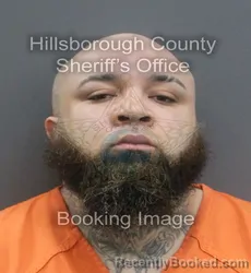 Mugshot of TODD WENDELL JR ROSE