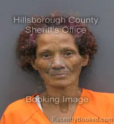 Mugshot of LILLIAN DEJESUS