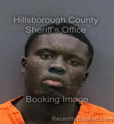 Mugshot of MOHAMMED NDIAYE