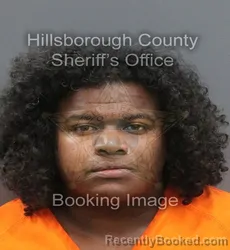 Mugshot of DANIEL DE JESUS CAPELLAN