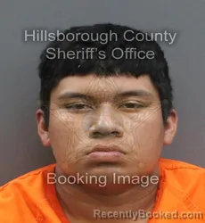 Mugshot of GIOVANY TOLEDO-ESCOBEDO