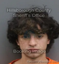 Mugshot of MARLON J TEMPRANA SERRANO