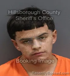 Mugshot of GERARDO ORTEGA