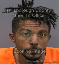 Mugshot of EVELIO DAVID RODRIGUEZ