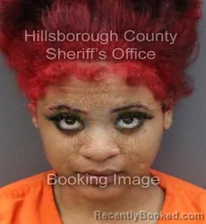 Mugshot of SCARLETTE ALANNIS FLANDEZ