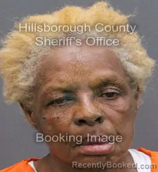 Mugshot of ANNETTE DENISE FAGAN