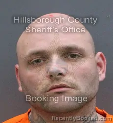 Mugshot of ATTILA CSABA PEST