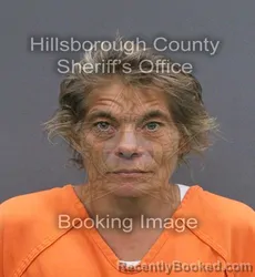 Mugshot of MELISSA DARLENE VOYLES