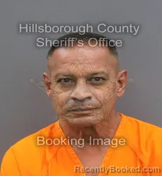 Mugshot of SUNEIL PERSAUD