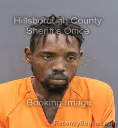 Booking photo from Hillsborough County, Florida