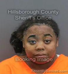 Mugshot of SHANIYAH NAYADAH BRYDSON