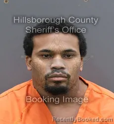 Booking photo from Hillsborough County, Florida