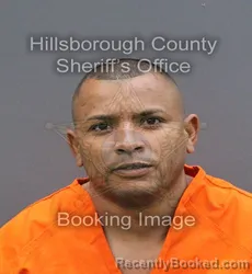 Mugshot of OSMEL HECHAVARRIA ORTIZ
