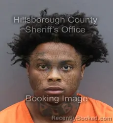 Booking photo from Hillsborough County, Florida