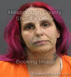Booking photo from Hillsborough County, Florida