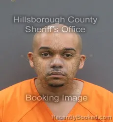 Mugshot of DASHAUN JENARD WILLIAMS