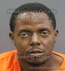 Booking photo from Hillsborough County, Florida