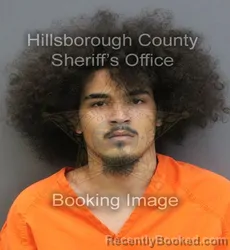 Mugshot of HENRY LAZARO LLUCH