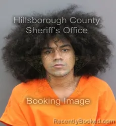 Mugshot of VICTOR JOSHUA JR HERNANDEZ