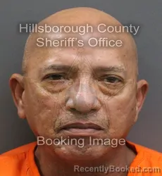 Booking photo from Hillsborough County, Florida