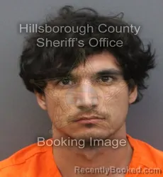 Mugshot of NICHOLAS EDWARD SCHULTZ