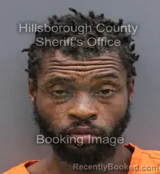 Booking photo from Hillsborough County, Florida