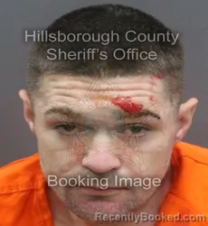 Mugshot of STEPHEN KELLY HART-SIMPSON