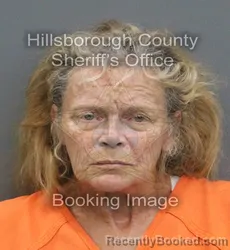 Mugshot of KIMBERLY ANN OSTRANDER