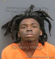 Mugshot of DERRICK EARL DAVIS