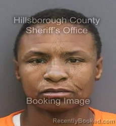 Mugshot of CEDREIA RENEE JENNINGS