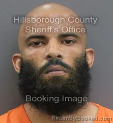 Mugshot of MISHAEL ELISHA WILSON