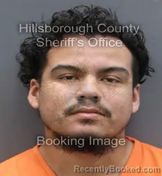 Mugshot of JOSUE ADAN REYNA
