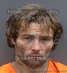 Mugshot of ALEC JACOB HALVERSON