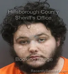 Mugshot of AUSTIN MICHAEL SAPP