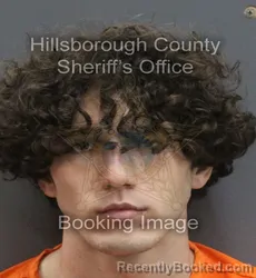 Mugshot of JOSHUA ANDREW ALMEDA