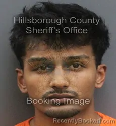 Mugshot of SOHAM NICK PATEL