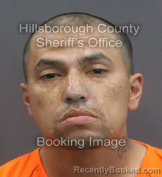 Mugshot of JULIAN ELSAYED DINH