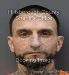 Mugshot of MICHAEL SHANE JOHNSON