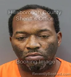 Mugshot of DERRICK CHARLES LEVY