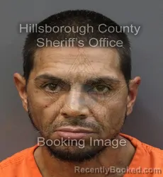 Mugshot of ALEJANDRO GONZALEZ