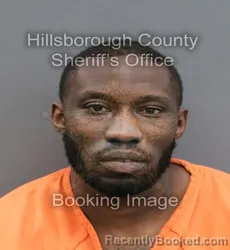 Mugshot of JAMES WILLIAMS