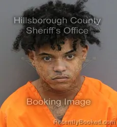 Mugshot of JOSE MIGUEL DELAS CASTRO