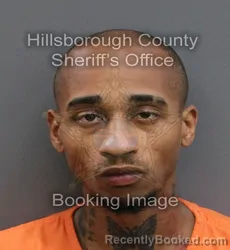 Mugshot of TOMAE RASHUN THERIOT