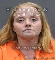 Mugshot of KANDIS MARIE BORTON