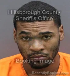 Booking photo from Hillsborough County, Florida